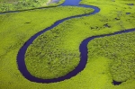 casamance,oceanium,livelihoods,mangrove,agroforestry,beekeeping,incubator,senegal,trees,saloum,ecosystem,honey,women,fund,carbon,danone,africa,agriculture