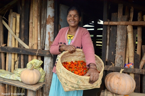 Livelihoods, Araku