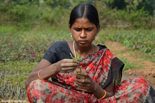 woman working in local nursery.JPG