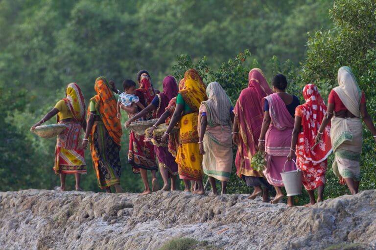 Mathurakand. Un groupe de femmes retourne au village après avoir ramassé des propagules de palétuviers.