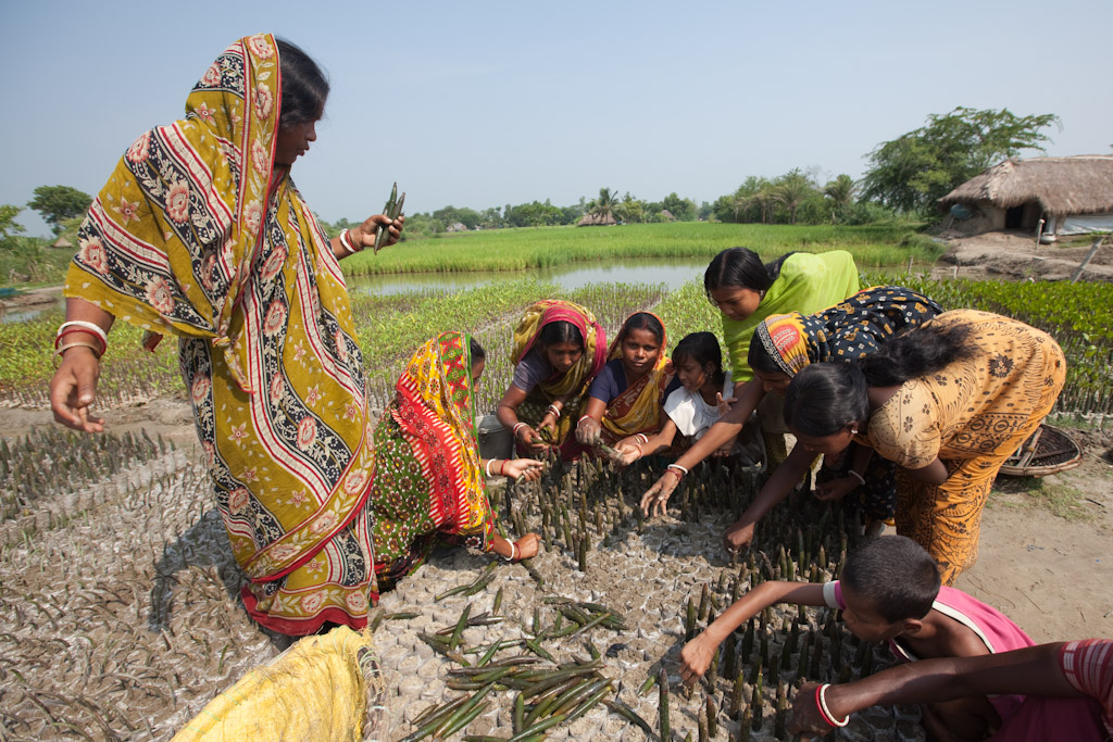 NEWS, Sundarbans