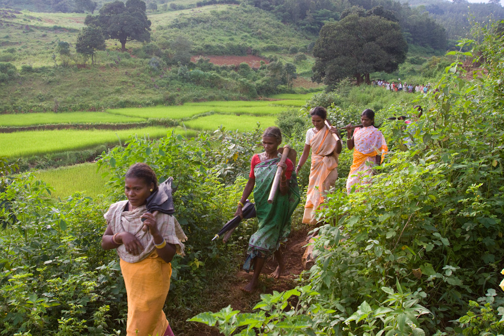 Araku India