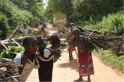 Livelihoods, kenya, hifadhi