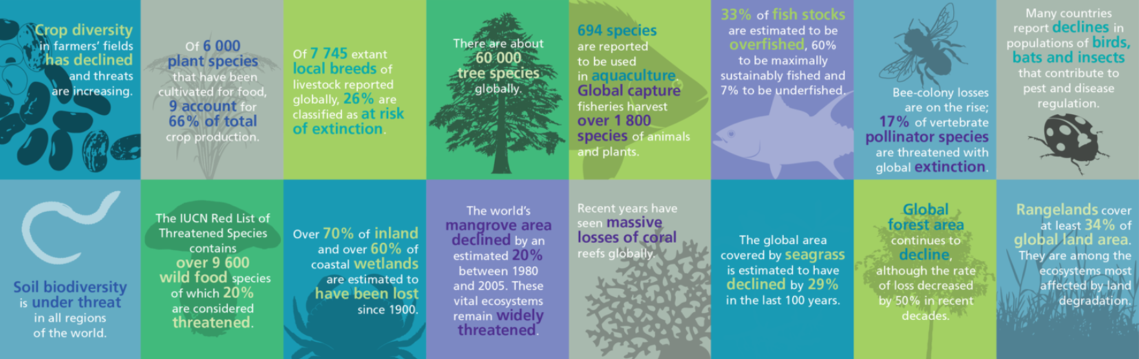 Key figures on biodiversity loss from FAO