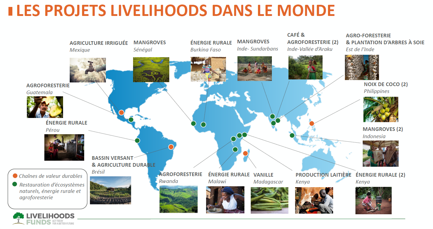 Carte monde, projets Livelihoods, COVID-19 information, soutien