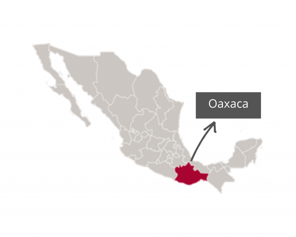 Oaxaca map - graphic